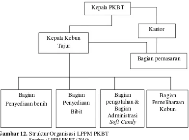 Gambar 12. Struktur Organisasi LPPM PKBT 