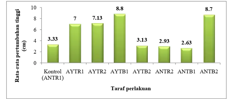 Gambar 1 Rata-rata pertumbuhan tinggi tanaman damar (A. loranthifolia Salisb.) per-perlakuan