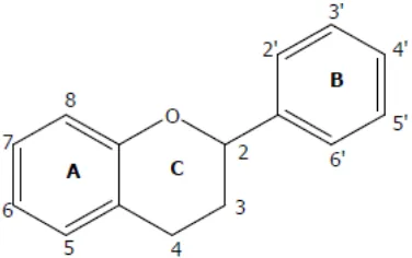 Gambar 2. Struktur kimia flavonoid (Lukitaningsih, 2009) 