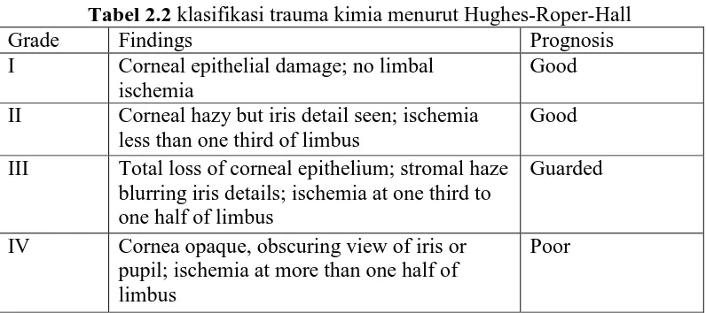 Tabel 2.2 klasifikasi trauma kimia menurut Hughes-Roper-Hall Findings Prognosis 