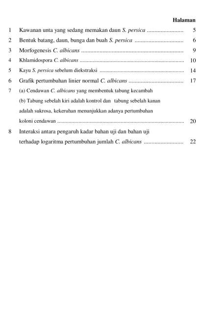 Grafik pertumbuhan linier normal C. albicans ....................................  17 