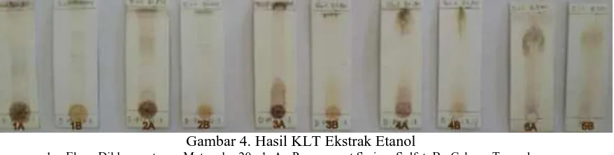 Gambar 4. Hasil KLT Ekstrak Etanol Eluen Diklorometana : Metanol = 20 : 1, A : Penyemprot Serium Sulfat, B : Cahaya Tampak 