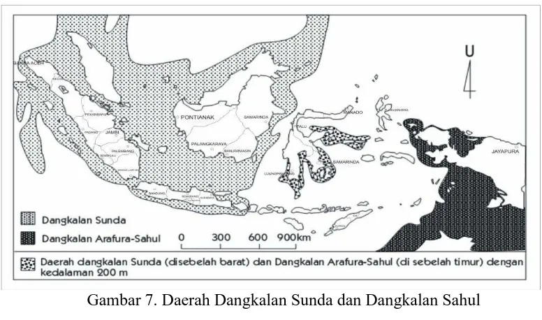 Gambar 7. Daerah Dangkalan Sunda dan Dangkalan Sahul 