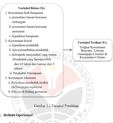 Gambar 3.1 Variabel Penelitian 