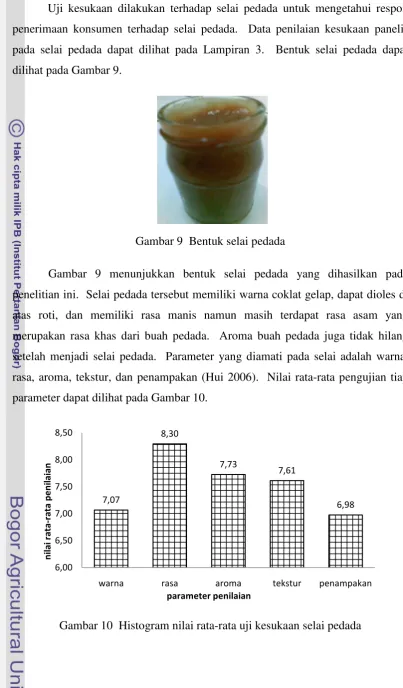 Gambar 9  Bentuk selai pedada 