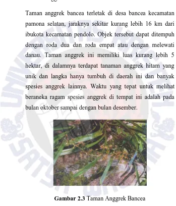 Gambar 2.3 Taman Anggrek Bancea 