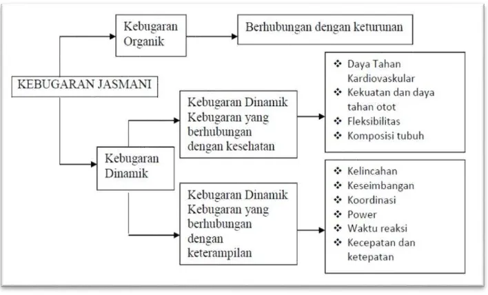 Gambar 12. Diagram Komponen Kebugaran Jasmani 