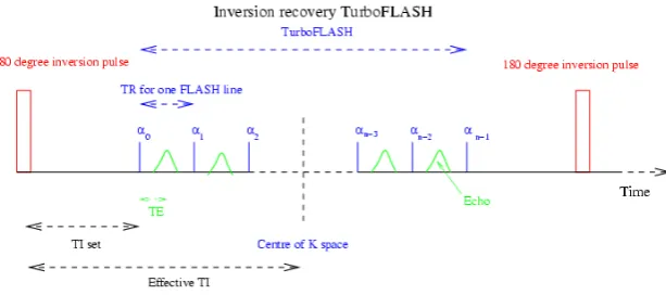 Fig. 1. Inversion recovery gradient-echo TurboF-LASH for one image. This is an inversion recov-ery TurboFLASH with n α pulses, where then/2th line traverses the centre of K space (forLinear Phase-Encoding)