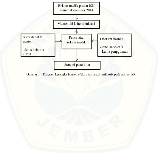 Gambar 3.1 Diagram kerangka konsep efektivitas terapi antibiotik pada pasien ISK