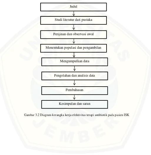 Gambar 3.2 Diagram kerangka kerja efektivitas terapi antibiotik pada pasien ISK
