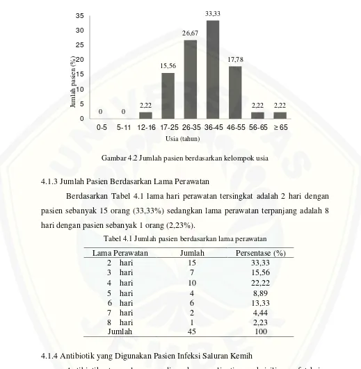 Gambar 4.2 Jumlah pasien berdasarkan kelompok usia