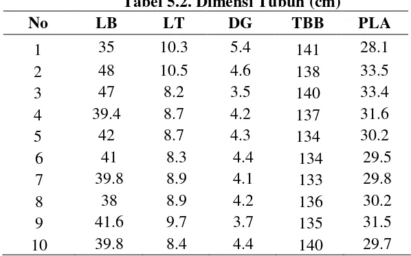 Tabel 5.2. Dimensi Tubuh (cm) 