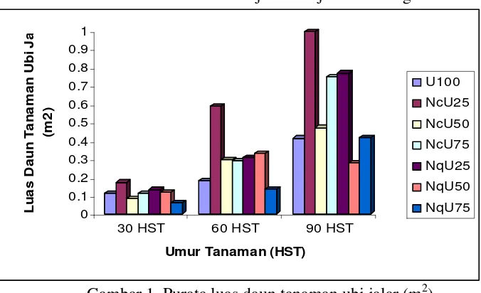 Tabel 3. Pengaruh varietas nanas dan proporsi tumpangsari terhadap luas daun tanaman ubi jalar (g) 