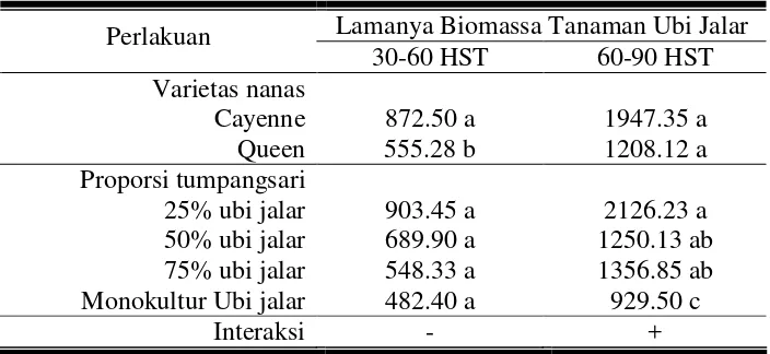Tabel 11. Pengaruh kombinasi varietas nanas dan proporsi tumpangsari terhadap lamanya biomassa tanaman ubi jalar umur 60-90 HST 