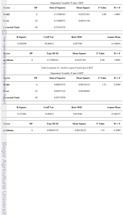 Tabel Lampiran 16. Analisis ragam P pada akar 6 BST 