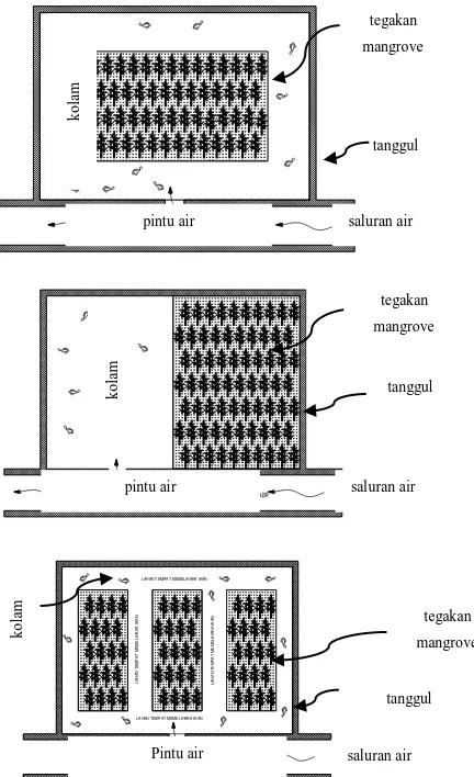 Gambar 4  Model sistem wanamina  yang umum di Indonesia.   