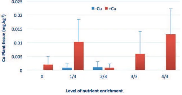 Figure 11.  The K concentration of fresh cucumber fruit on treatments of Cu addition and level of nutrient enrichment 