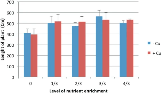 Figure 1. The cucumber length of plant on treatments of Cu addition and level of nutrient enrichment 