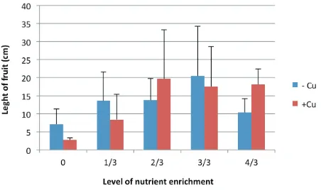 Figure 4. The length of fruit cucumber on treatments of Cu addition and level of nutrient enrichment 