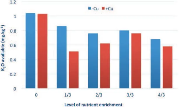 Figure 8. P-soil level at time of harvest on treatments of Cu addition and level of nutrient enrichment 