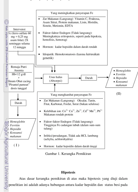 Gambar 1. Kerangka Pemikiran 