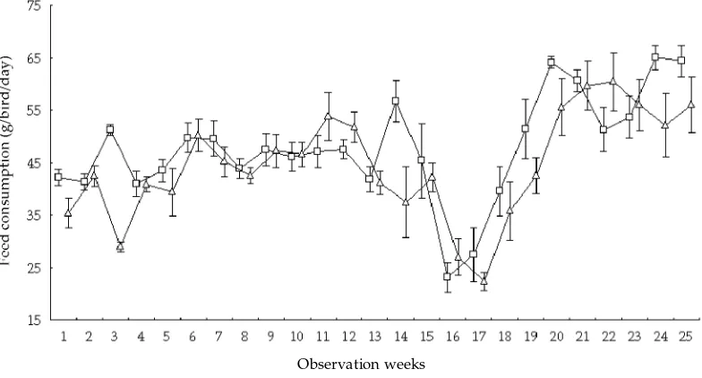Figure 1. Egg production during the first 25 observation weeks of Wareng chicken (- - = full feed diet; -- = free choice diet)
