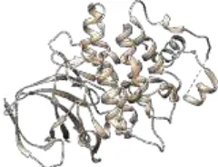 Gambar 2. Protein 4PTG hasil preparasi Chimera 