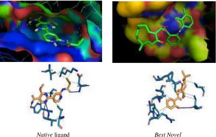 Gambar 3.Konformasi 3D hasil docking terhadap protein 4PTG (GSK-3β) dengan AutoDock metode  LGA (terbaik).Warna biru merupakan permukaan binding site pocket dari protein.Warna kuning (PyMOL) dan garis putus-putus (PLIP) merupakan ikatan hidrogen.Visualisas