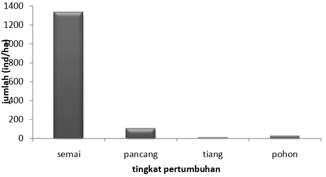 Gambar 9  Dugaan populasi kulim pada tiap tingkat pertumbuhan. 