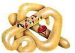 Gambar 4. Struktur Protein Tersier 