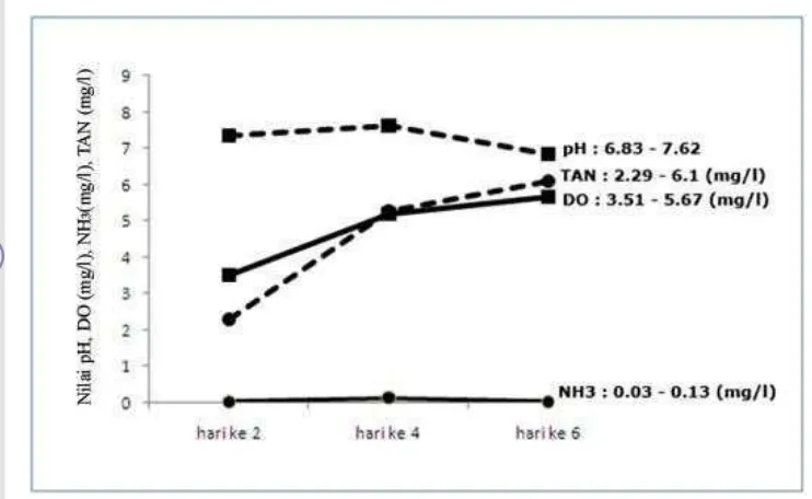 Gambar 9.  pH, DO, kadar NH3, dan TAN selama pemeliharaan 
