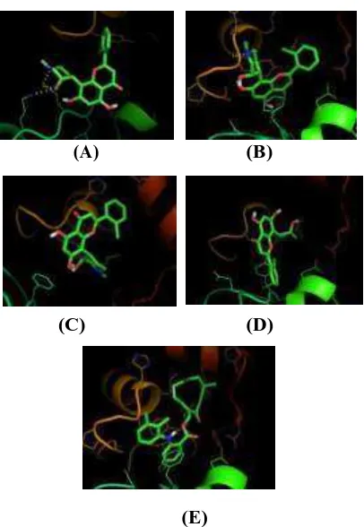 Gambar 2 senyawa zer terhadap protein 1C8K dengan algoritma Vina dengan menggunakan aplikasi 