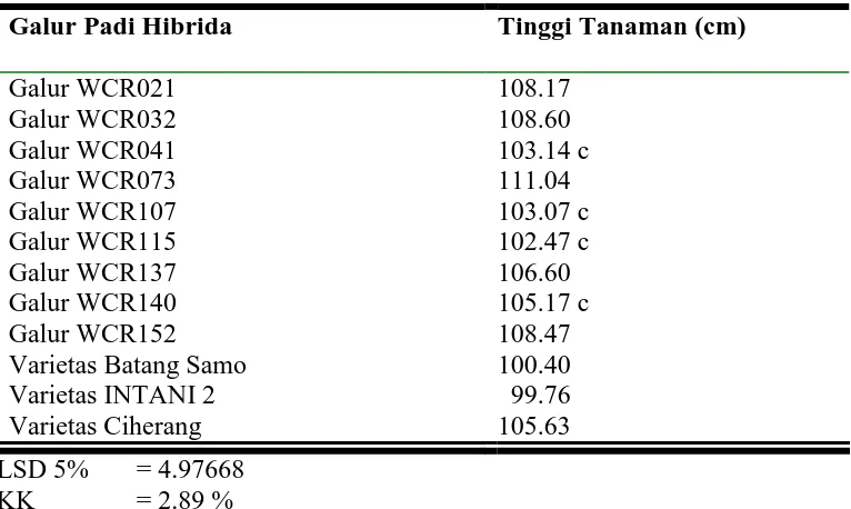 Tabel .1  Hasil Uji LSD 5% Terhadap Tinggi Tanaman Pada Beberapa Galur Padi Hibrida (Oryza sativa L)  