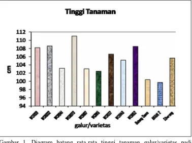 Gambar 1. Diagram batang rata-rata tinggi tanaman galur/varietas padi     hibrida   