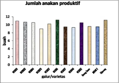Gambar 4. Diagram batang rata-rata jumlah anakan produktif galur/varietas    padi  hibrida