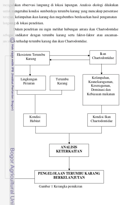 Gambar 1 Kerangka pemikiran