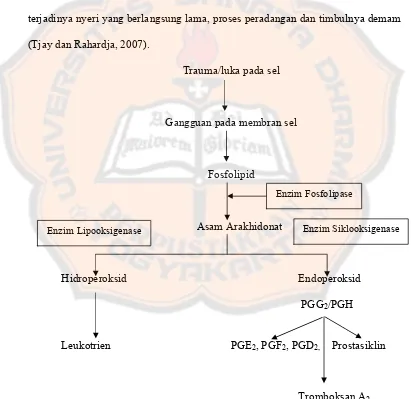 Gambar 2. Proses biosintesis prostaglandin (Wilmana dan Gan, 2007).  
