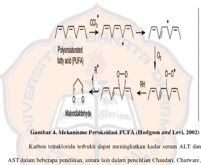 Gambar 4. Mekanisme Peroksidasi PUFA (Hodgson and Levi, 2002) 