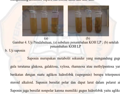 Gambar 4. Uji Pendahuluan, (a) sebelum penambahan KOH LP ; (b) setelah penambahan KOH LP 