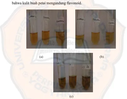Gambar 6. Uji Flavonoid (a) Larutan uji sebelum ditambahkan NaOH dan KCl ; (b) Setelah ditambahkan NaOH ; (c) Setelah ditambahkan KCl  