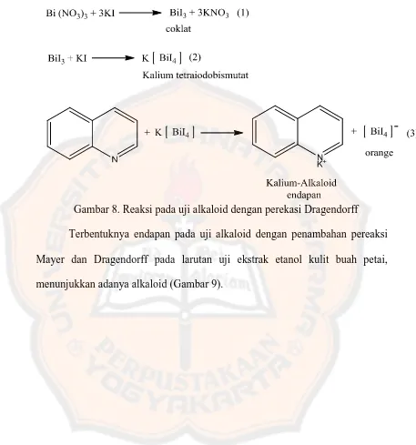 Gambar 8. Reaksi pada uji alkaloid dengan perekasi Dragendorff  