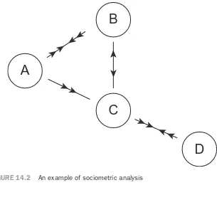 FIGURE 14.2An example of sociometric analysis