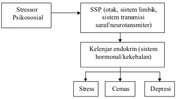 Gambar 2. Mekanisme terjadinya stress, cemas dan depresi (Hawari, 2001)
