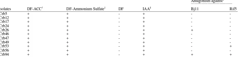 Table 2: ACC deaminase activity, IAA production, phenotypic characteristics of Pseudomonas isolates (Crb) used in the study 