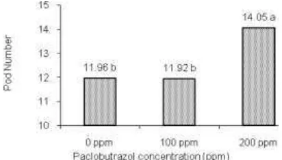 Figure 2. Total number of pod per plant after paclobutrazol treatment. 