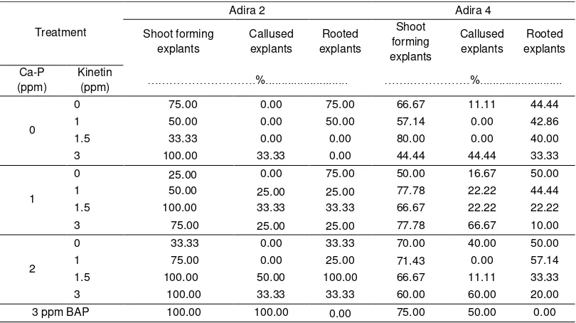 Table 1. Percentage of shoot forming explants, callused explants, and rooted explants of Cassava Adira2 and Adira 4 variety at 10 WAP 