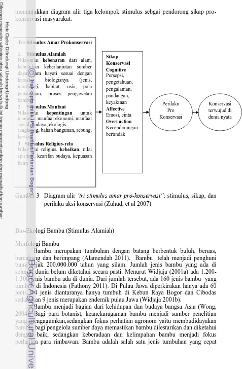 Gambar 3  Diagram alir -perilaku aksi konservasi (Zuhud, et al 2007) 