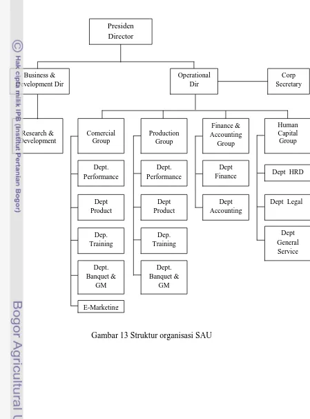Gambar 13 Struktur organisasi SAU   