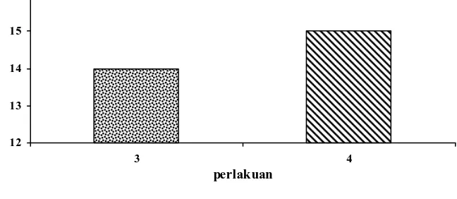 Gambar 1. Perbandingan Rata-rata Saat Muncul Kalus (HST) Perlakuan Media Gamborg (B5) + 3% sukrosa + 2 mg/l 2,4D (terang) dan Media Gamborg (B5) + 3% sukrosa + 2 mg/l 2,4D (gelap) pada Tanaman Jati Belanda (G