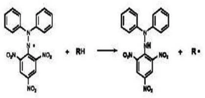 Gambar 2.4 Resonansi DPPH 